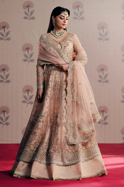 Dilara Zarposh Jahanara – Embroidered Net & Organza Unstitched 3 Piece Festive Suit