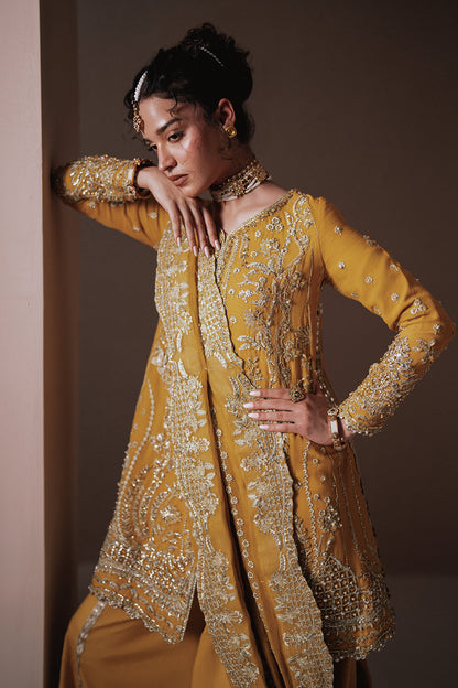 Dhanak Zarposh Jahanara Embroidered Unstitched 3 Piece Festive Suit